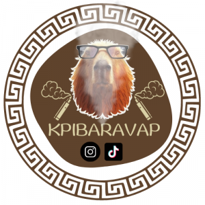 Kpibaravap - le capybara expert de la vape